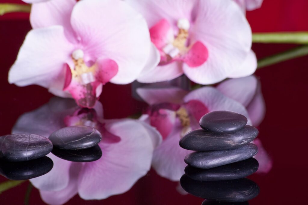 massage, stones, reflection, orchid, recreation, relaxation, healing stones, spiritual, relaxing massage, hot stone, round, wellness, wellness massage, hot stones, massage, orchid, orchid, orchid, orchid, orchid, spiritual, hot stone, hot stone, hot stone, hot stone, hot stone, wellness, wellness, wellness, hot stones, hot stones